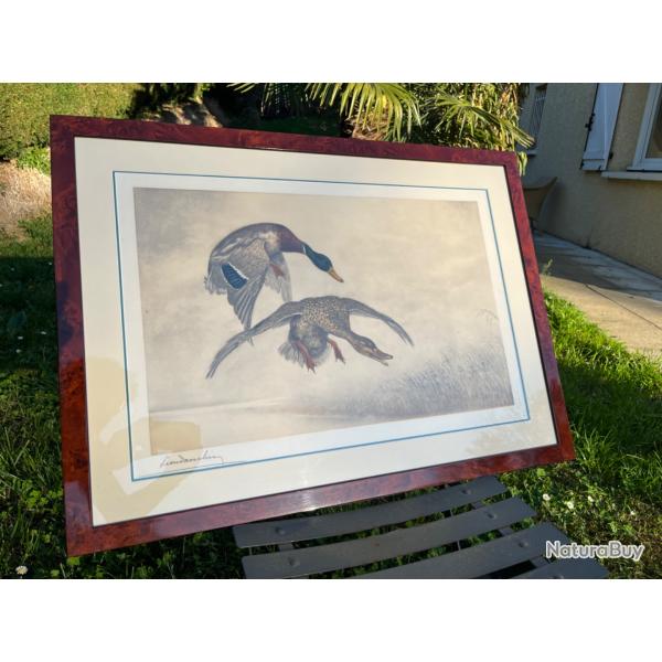 Gravure Leon Danchin couple canards se posant sign�e et num�rot�e