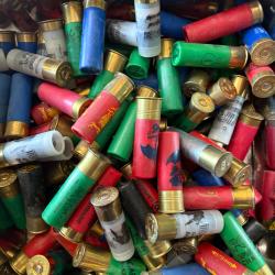 LOT DE 100 CARTOUCHES CALIBRE 16 EN VRAC encheres de folie