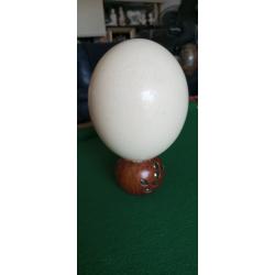 Oeuf d'autruche sur support bois