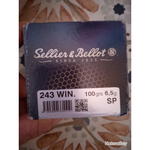 Munitions 243 win Sellier bellot sp 100grX50
