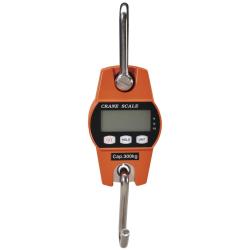 Peson &eacute;lectronique Pisteurs charge maximum 300 kg
