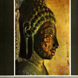 Sud-Est asiatique : ses temples, ses sculptures. Fr&eacute;d&eacute;ric, Louis Edit&eacute; par Arts et m&eacute;tiers graphique