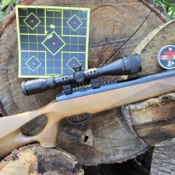 BENJAMIN NITRO XTRAIL 41joules calibre 6,35mm