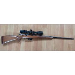CZ 527 + lunette BSA Sweet 17-618x40 SP