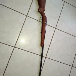 Tir et loisir,Carabine de jardin class&eacute;e en cat&eacute;gorie C