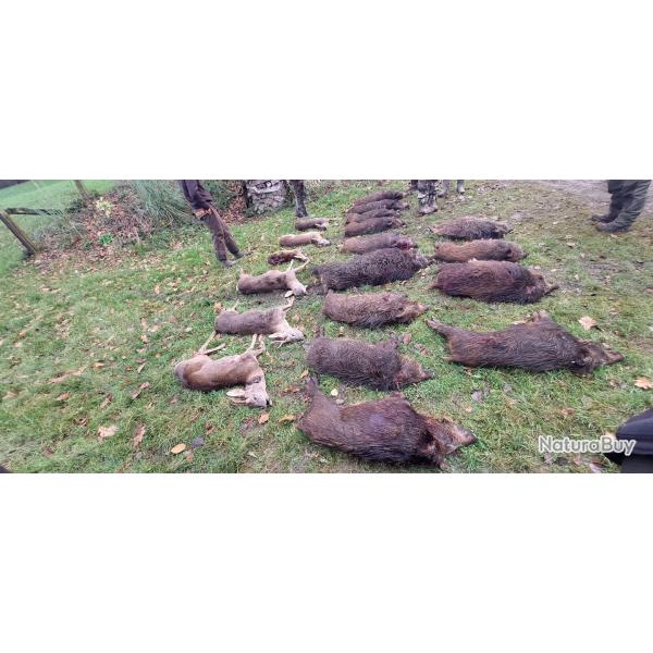 action de chasse Rocroi