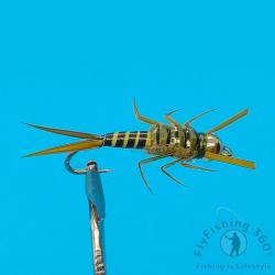 Nymphes Stonefly G&eacute;antes (3-3.5cm) - Tungst&egrave;ne & Hame&ccedil;ons TMC 200R