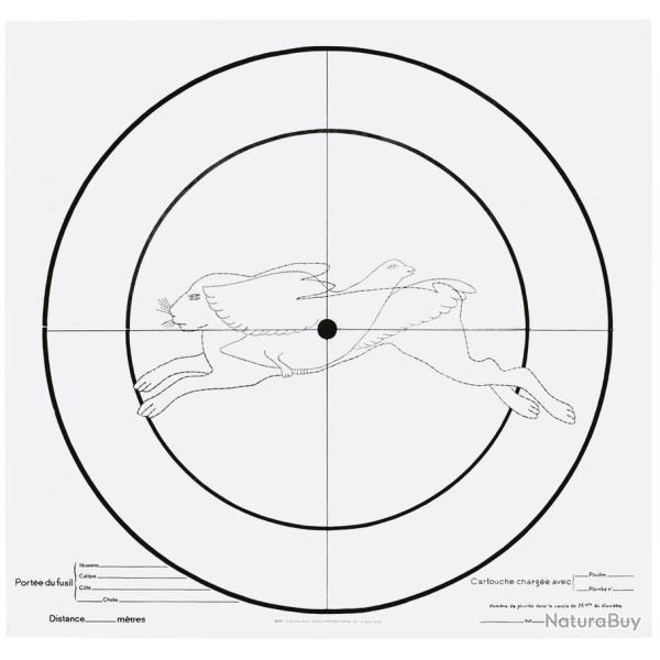 100 CIBLES PAPIER FIGURINES