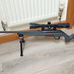 Carabine 22lr Winchester xpert