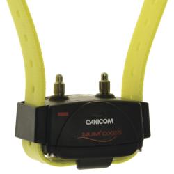 Collier suppl&eacute;mentaire de dressage Num'Axes Canicom Jaune