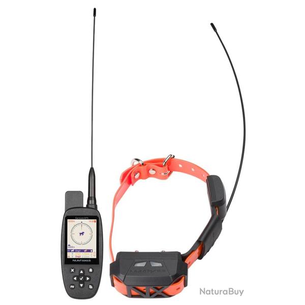 Pack collier de rep�rage et de dressage Num'Axes Canicom GPS mini