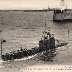 Carte Postale La Pallice-La Rochelle Sous-Marin Oursin - N&deg;7752