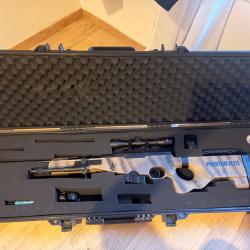 Carabine &agrave; plomb L115B 19.9J avec sa caisse de transport