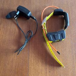 Collier garmin dc50 fr