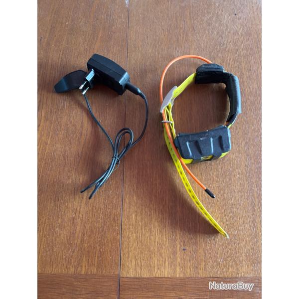 Collier garmin dc50 fr
