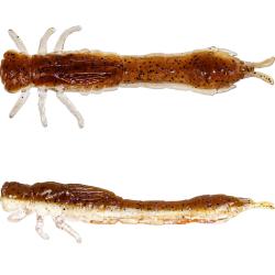 Leurre Souple Westin Odonata Ned Creaturebait 6.5cm 6,5cm 2g Par 4 Brown Shiner