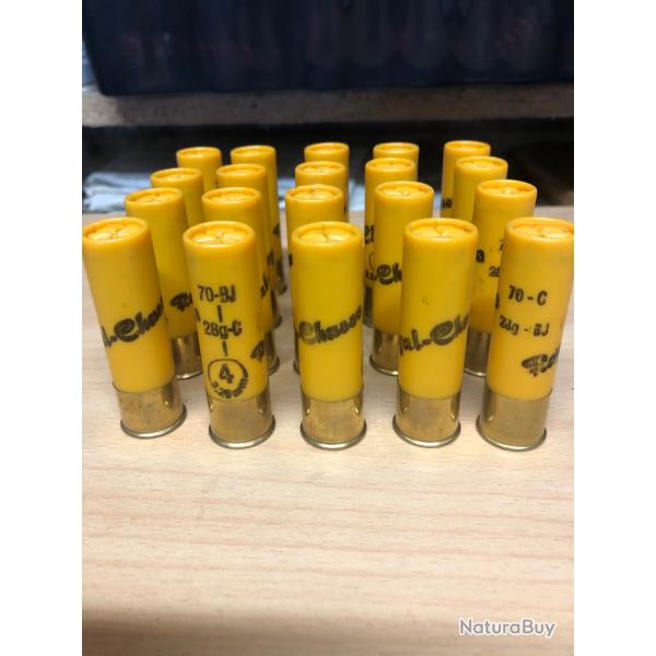 Lot cartouches cal20