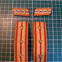 Rare Lot Authentique COLONEL (Taisa) Japonais WW2 - &Eacute;paulettes + Pattes de Col