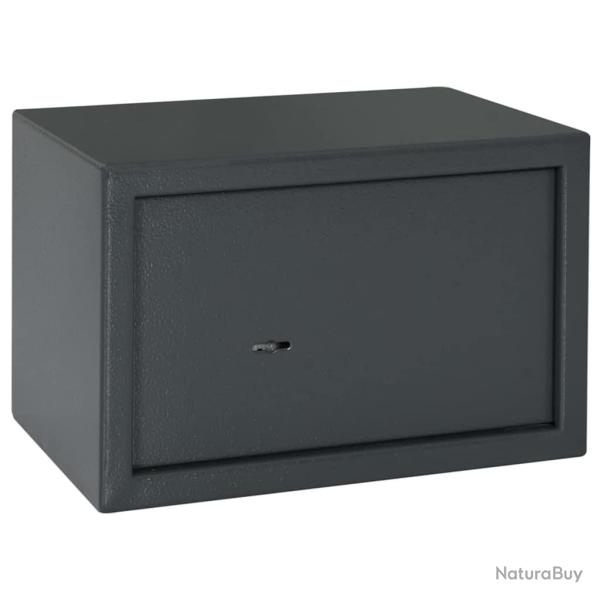 Coffre-fort avec verrouillage Gris fonc� 31 x 20 x 20 cm Acier