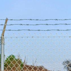 Fil barbel&eacute; Vert 100 m Acier Galvanis&eacute; &agrave; Chaud