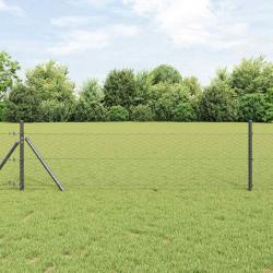 Cl&ocirc;ture hexagonale Gris 0,6 x 25 m PVC