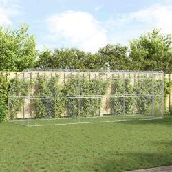 Kennel pour Chiens 3 pcs Argent&eacute; 6 x 2 x 2 m Acier galvanis&eacute;