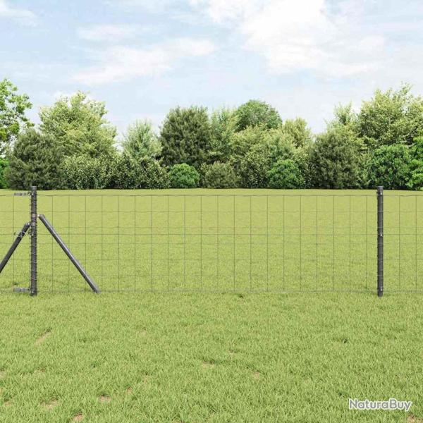 Cl�ture avec poteau Gris 0,8 x 25 m Acier
