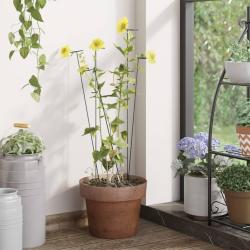 Piquets pour plantes de jardin 20 pcs vert fonc&eacute; 61 cm acier