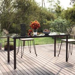Table &agrave; d&icirc;ner de jardin Noir 160x80x74 cm Acier et verre tremp&eacute;