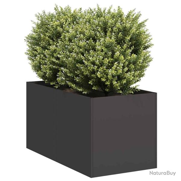 Jardini�re noir 40x80x40 cm acier lamin� � froid