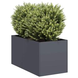 Jardini&egrave;re anthracite 40x80x40 cm acier lamin&eacute; &agrave; froid