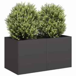 Jardini&egrave;re noir 80x40x40 cm acier lamin&eacute; &agrave; froid