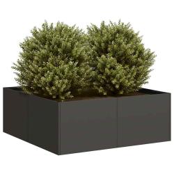 Jardini&egrave;re noir 80x80x30 cm acier