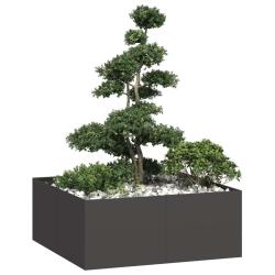 Jardini&egrave;re noir 100x100x40 cm acier