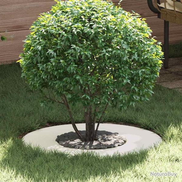 adapt� pour anneaux d'arbre plats 5 pcs Blanc �30 / 60 cm Acier