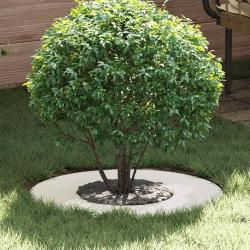 adapt&eacute; pour anneau d'arbre plat Blanc &Oslash;30 / 60 cm Acier