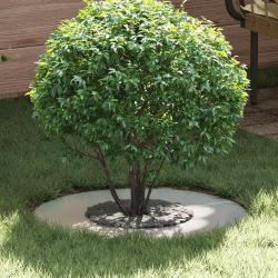 adapt&eacute; pour anneau d'arbre plat Argent &Oslash;30 / 60 cm