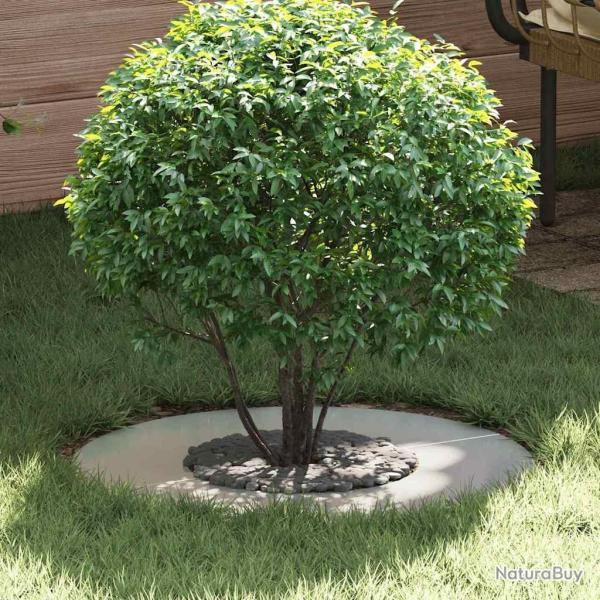 adapt� pour anneau d'arbre plat Argent �30 / 60 cm