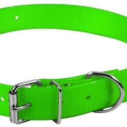Collier Pisteurs polyur&eacute;thane vert 65cm x 25mm