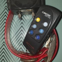 colliers d'&eacute;ducation canicom