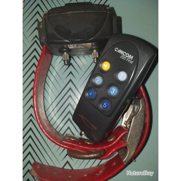 colliers d'�ducation canicom