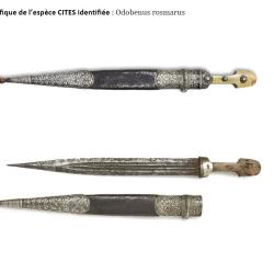 Rare Poignard Kindjal 1892 Sign&eacute; Hajj Ahmed - Ivoire de Morse & Argent 84 - Certifi&eacute; TAJAN