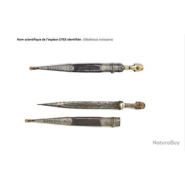 Rare Poignard Kindjal 1892 Sign� Hajj Ahmed - Ivoire de Morse & Argent 84 - Certifi� TAJAN