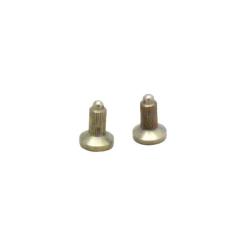 Electrodes longues pour collier Num'Axes Canicalm Excel