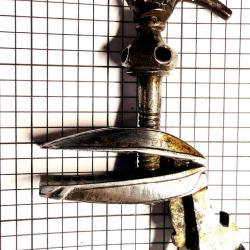 Chien pour platine Ottommam pre1890