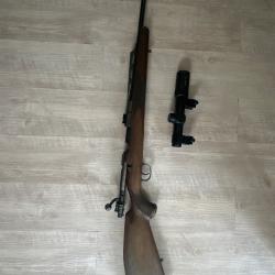 Carabine 300 win mag