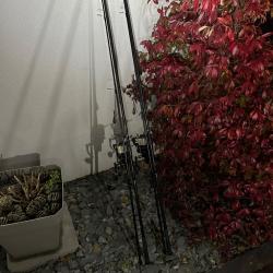 2 canne mack2 falcon world cup