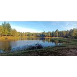 Journ&eacute;e carpe