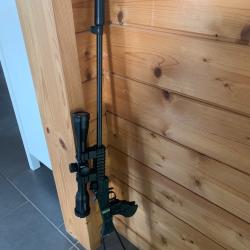 Carabine Chiappa Little badger 22LR