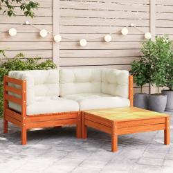 Canap&eacute; de jardin avec coussins et repose-pied 2 places